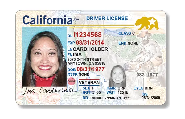 CA Driver's License